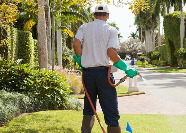 About Winfield KS Pest Control